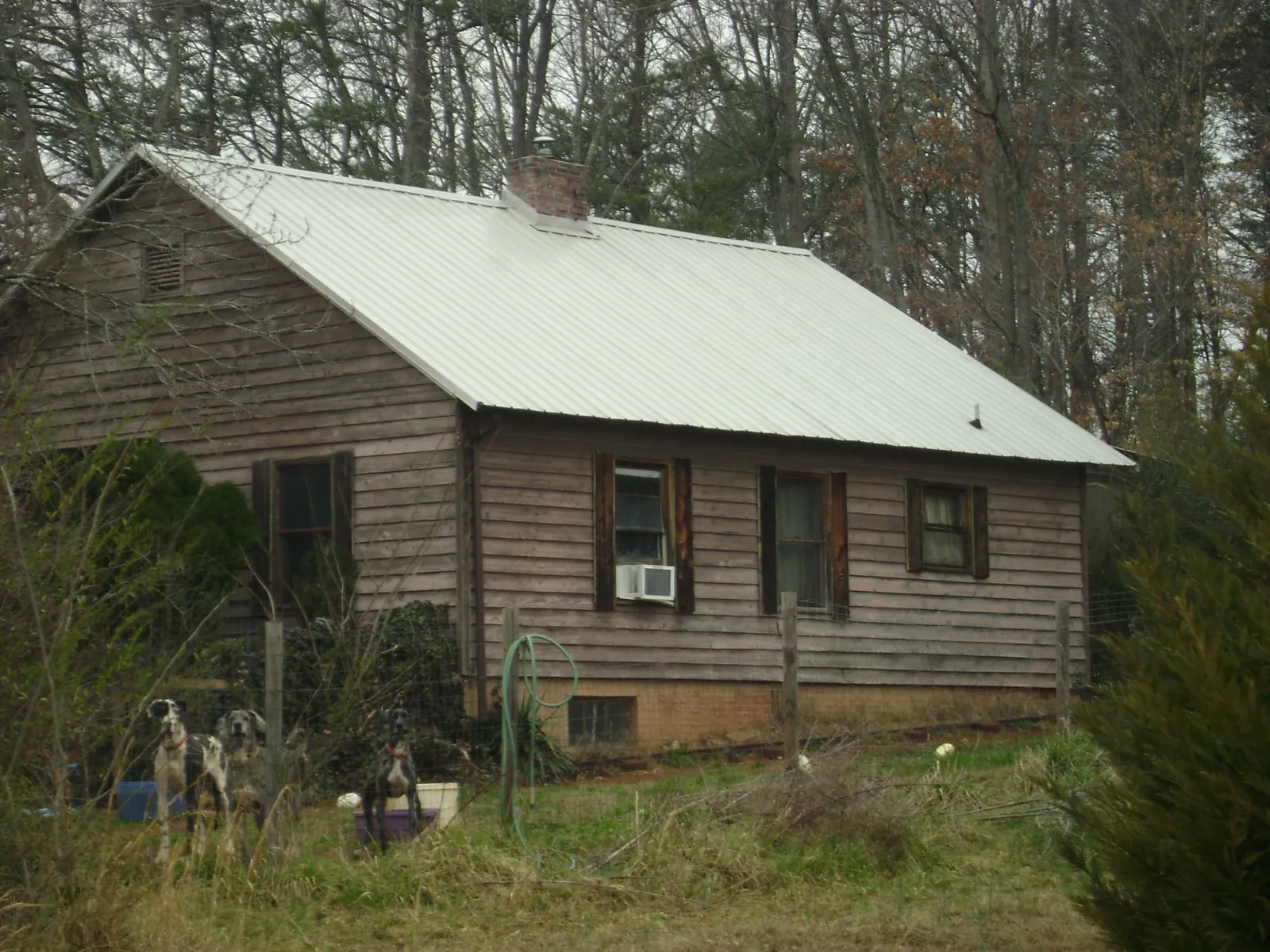 White metal roof on an old wood sided farmhouse, from a Asphalt Shingle Roof Repair job in Girard